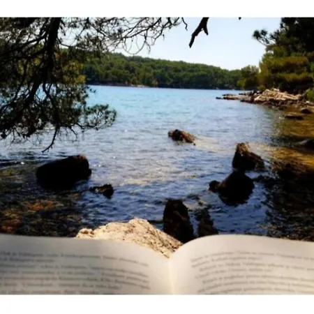 Hvar Heart Heritage Stone House 2 Floors, Up To 6 Persons Holiday home *