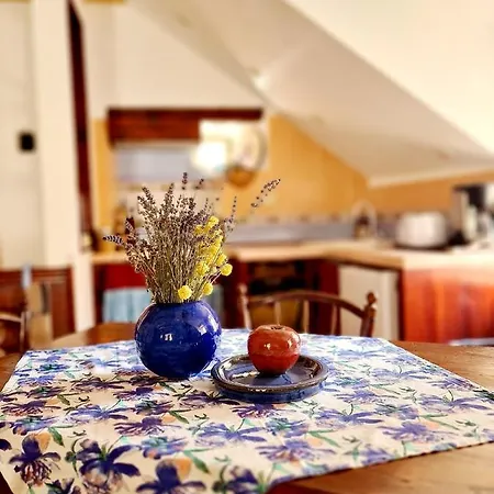 Holiday home Hvar Heart Heritage Stone House 2 Floors, Up To 6 Persons *